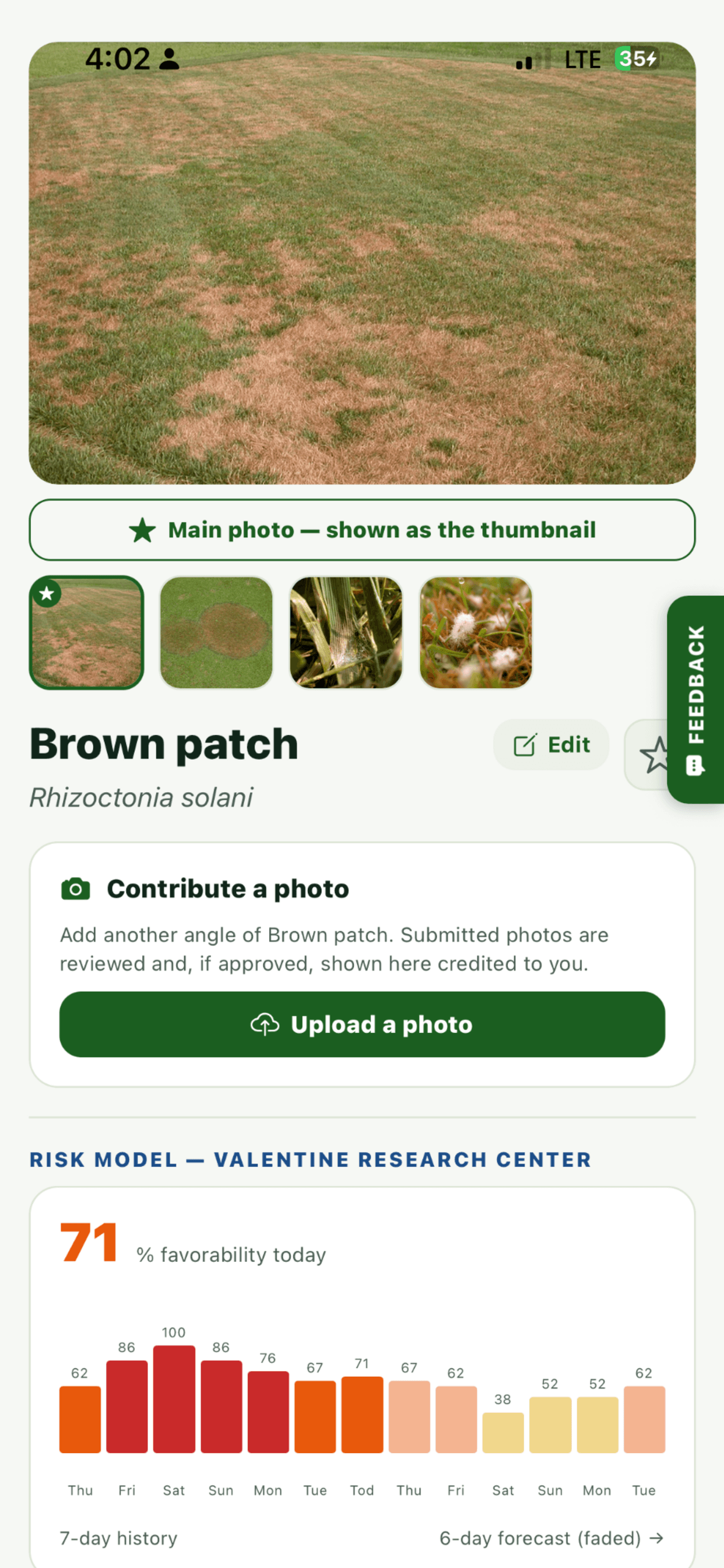 TurfPath brown patch disease profile with a 7-day risk model